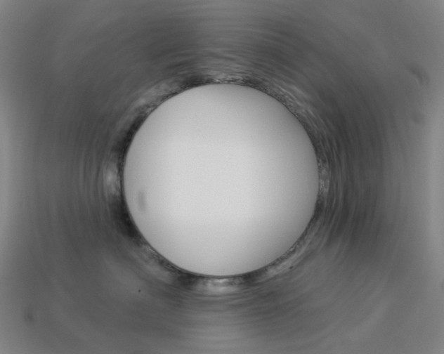 X0000114000622200910021031