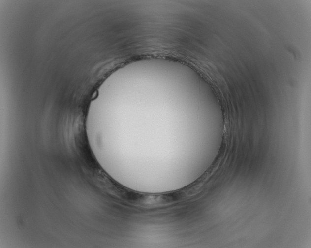 X0000114000623200910021031
