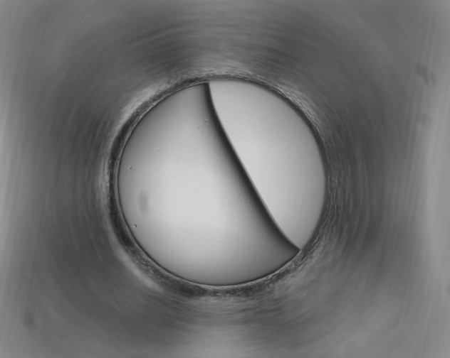 X0000114000630200910021031