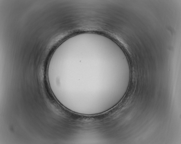 X0000114000631200910021031