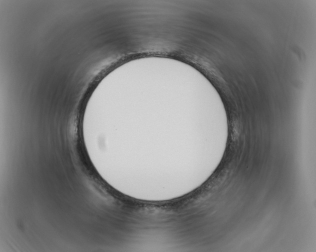 X0000114000632200910021031