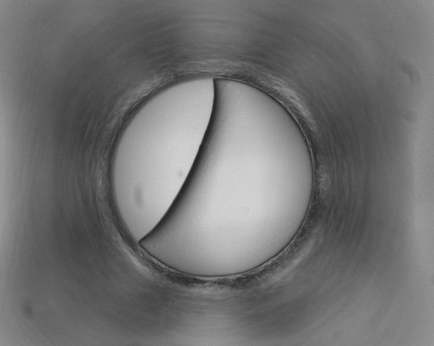 X0000114000633200910021031