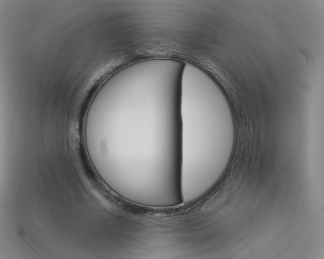 X0000114000634200910021031