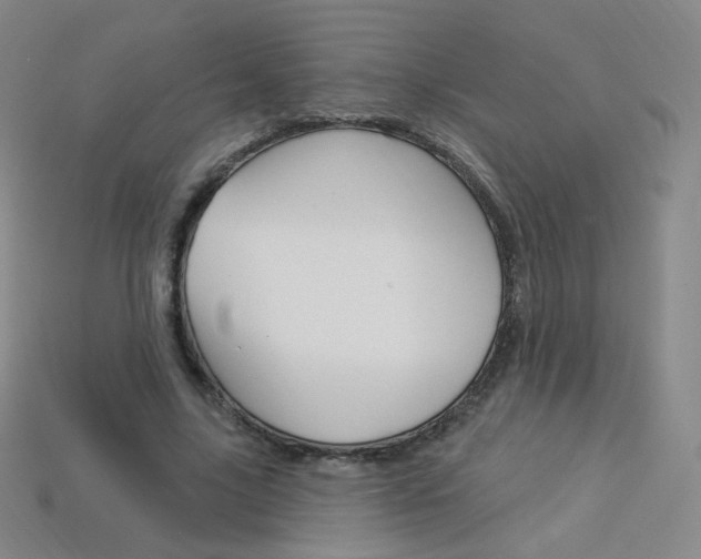 X0000114000635200910021031