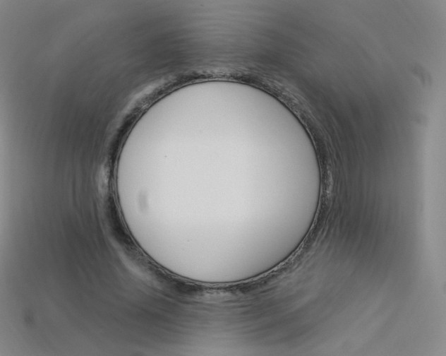 X0000114000636200910021031