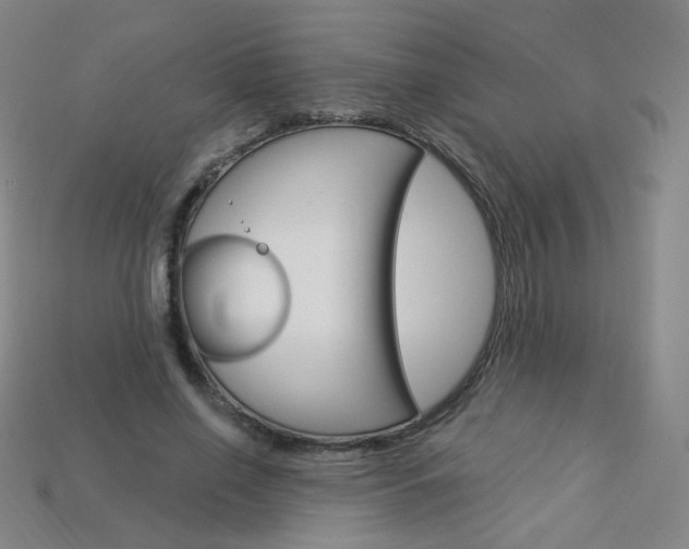 X0000114000638200910021031