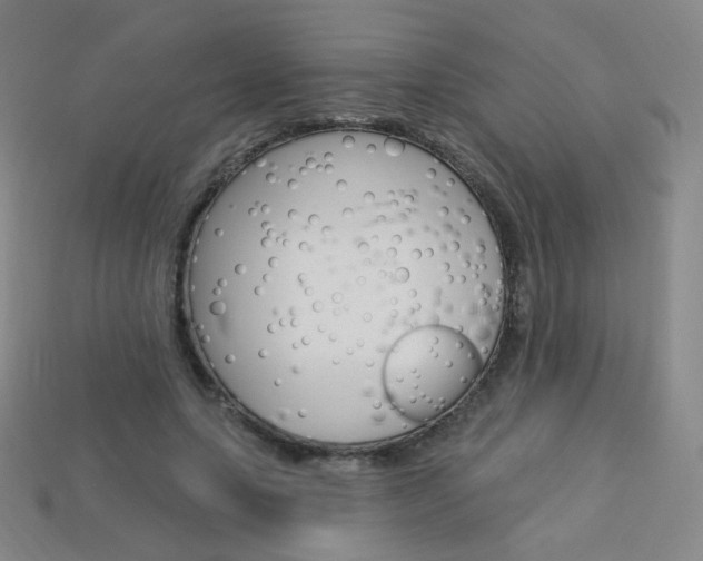 X0000114000639200910021031