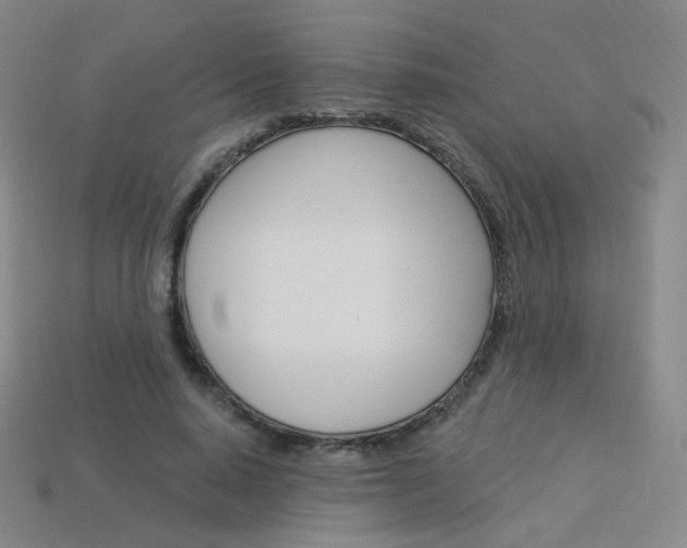 X0000114000640200910021031
