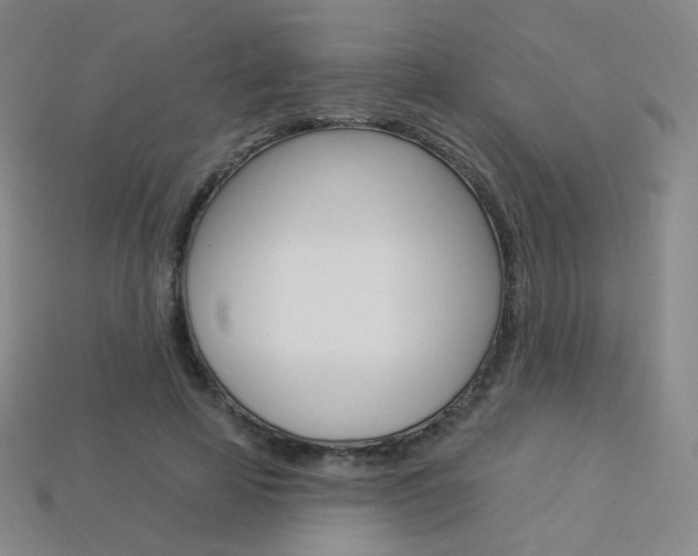 X0000114000641200910021031