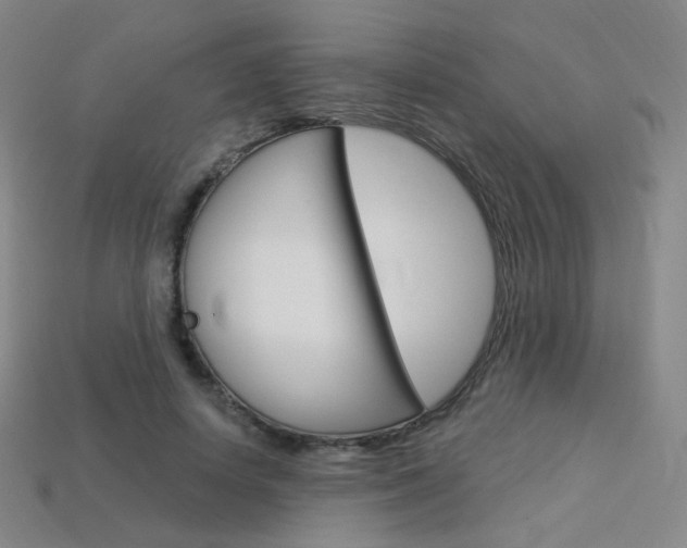 X0000114000642200910021031
