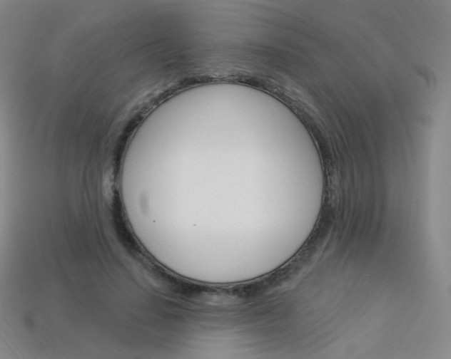 X0000114000644200910021031