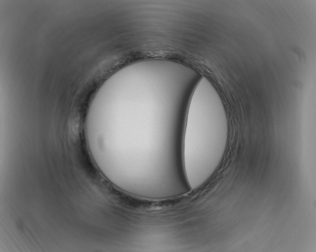 X0000114000647200910021031