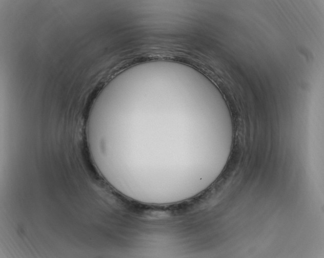 X0000114000649200910021031