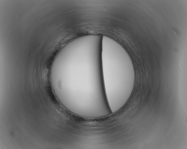 X0000114000650200910021031