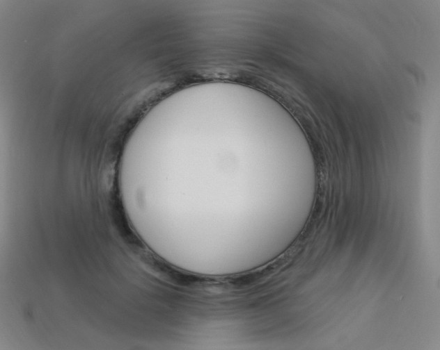 X0000114000652200910021031