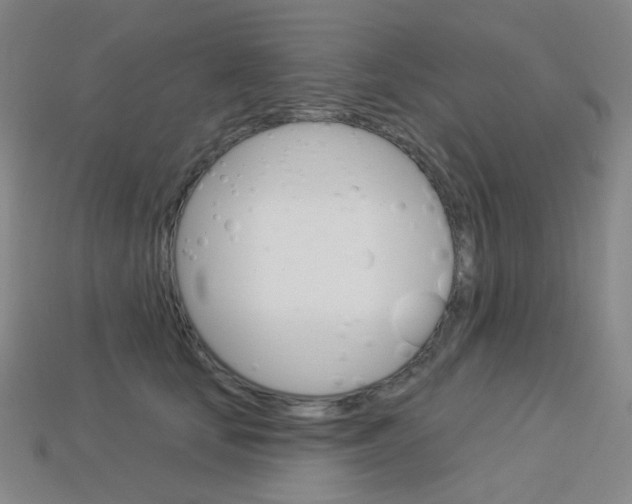 X0000114000659200910021031
