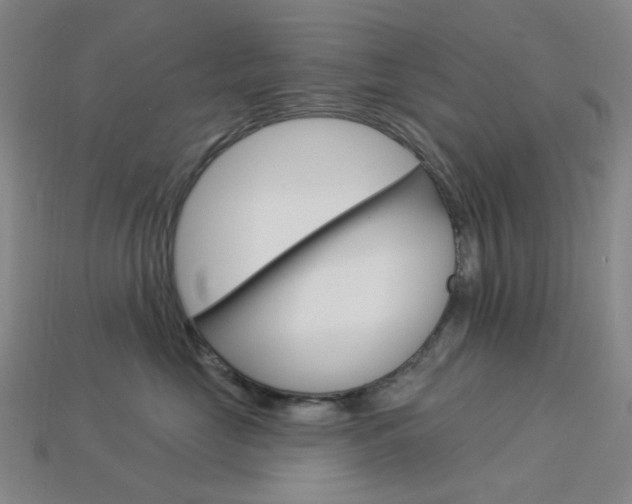 X0000114000669200910021031