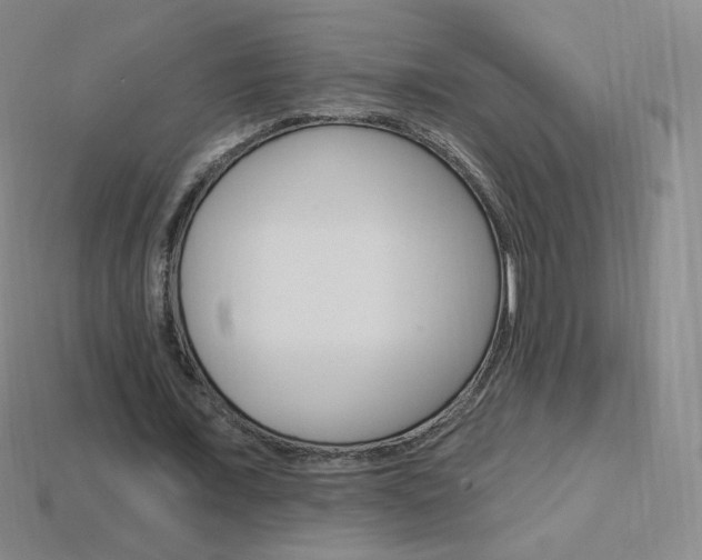 X0000114000675200910021031