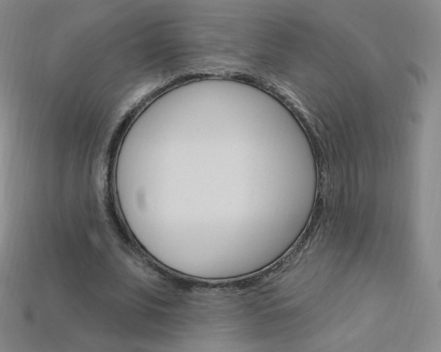 X0000114000679200910021031