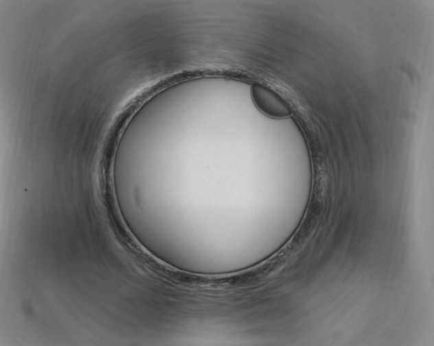 X0000114000680200910021031