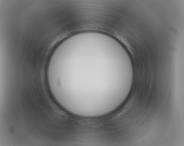 X0000114000681200910021031