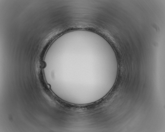 X0000114000683200910021031