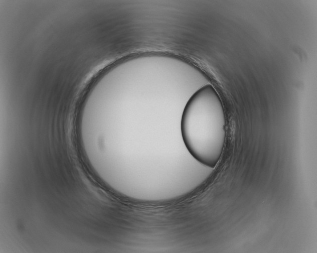 X0000114000684200910021031
