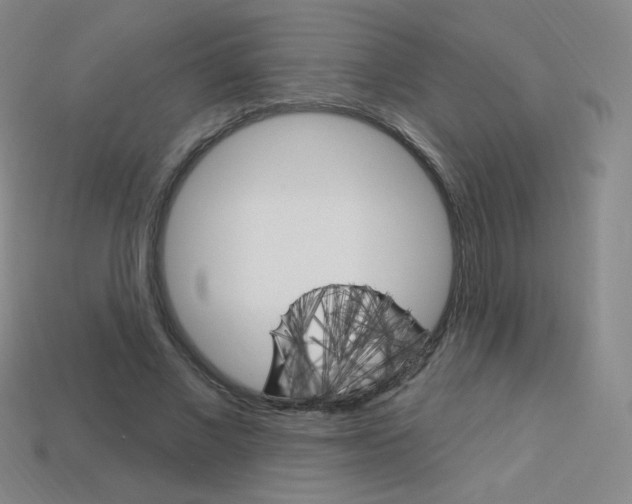 X0000114000685200910021031