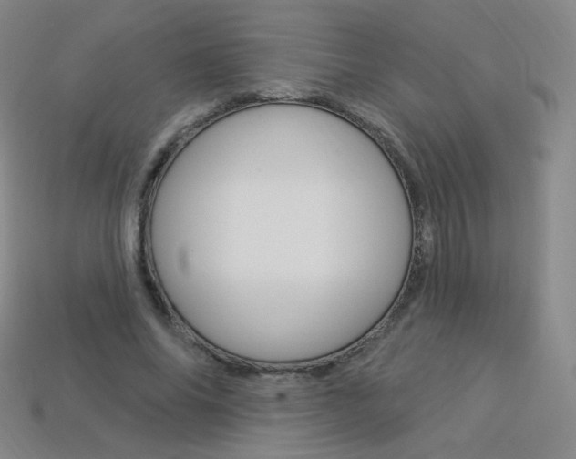 X0000114000686200910021031