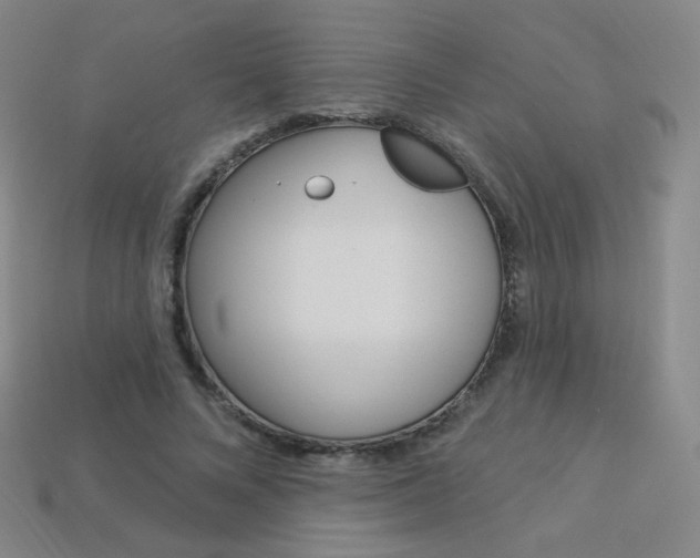 X0000114000688200910021031