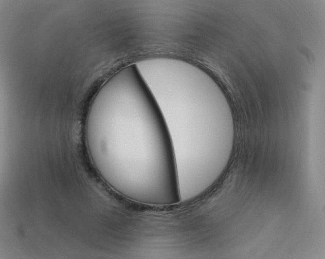 X0000114000689200910021031