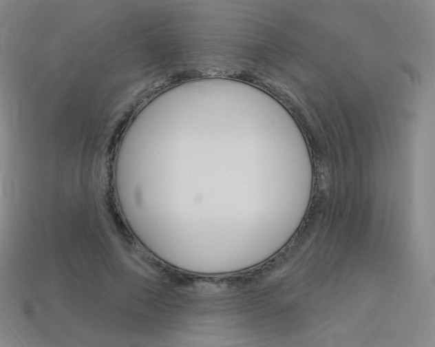 X0000114000690200910021031