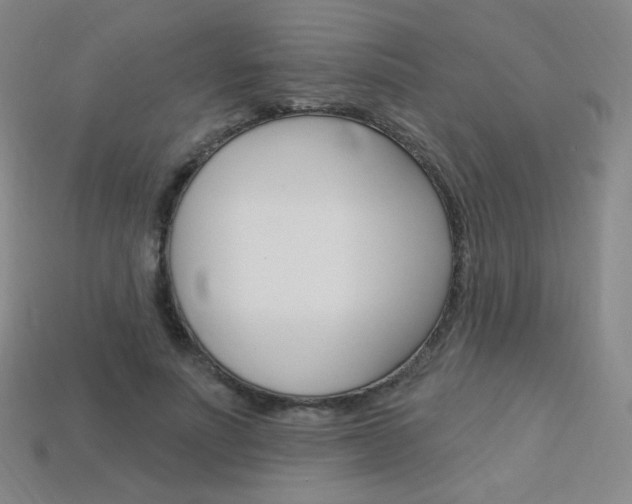 X0000114000691200910021030