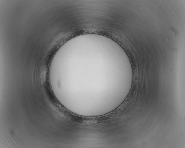 X0000114000694200910021030