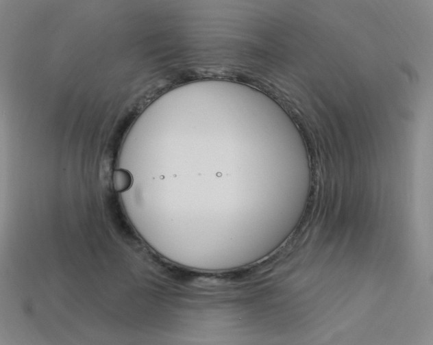 X0000114000699200910021030