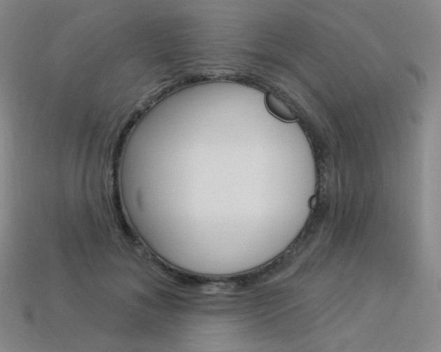 X0000114000700200910021030