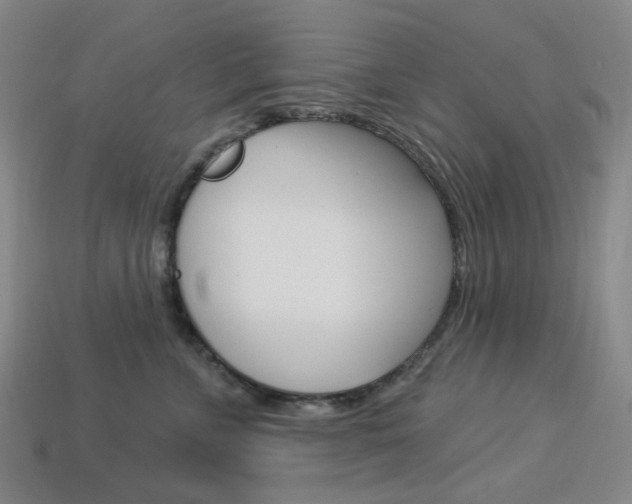 X0000114000715200910021030