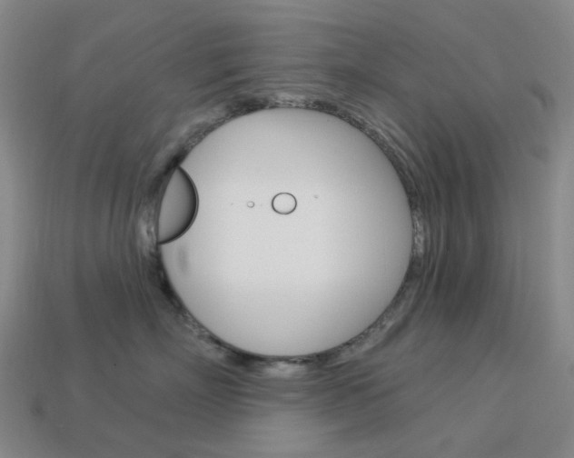 X0000114000718200910021030
