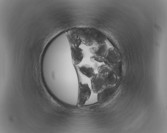 X0000114000721200910021030