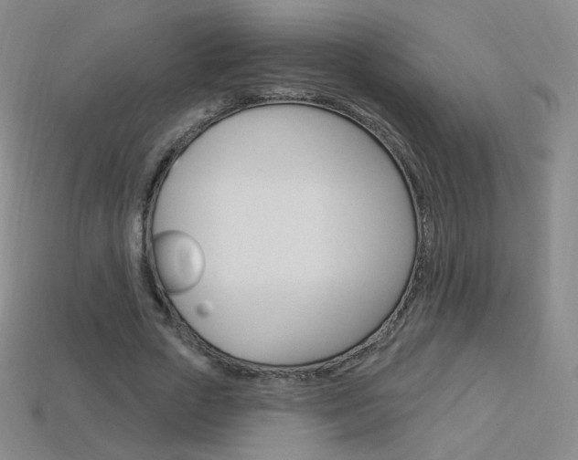 X0000114000729200910021030