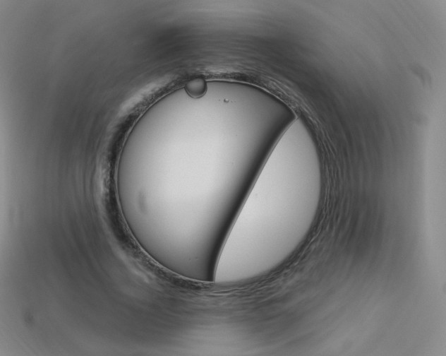 X0000114000732200910021030