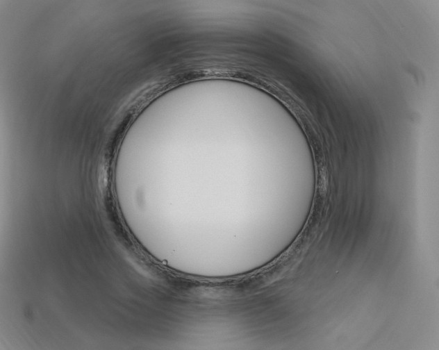 X0000114000733200910021030