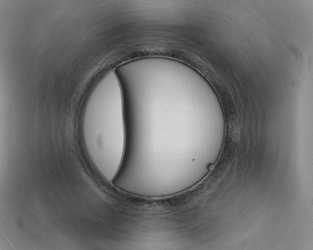 X0000114000735200910021030