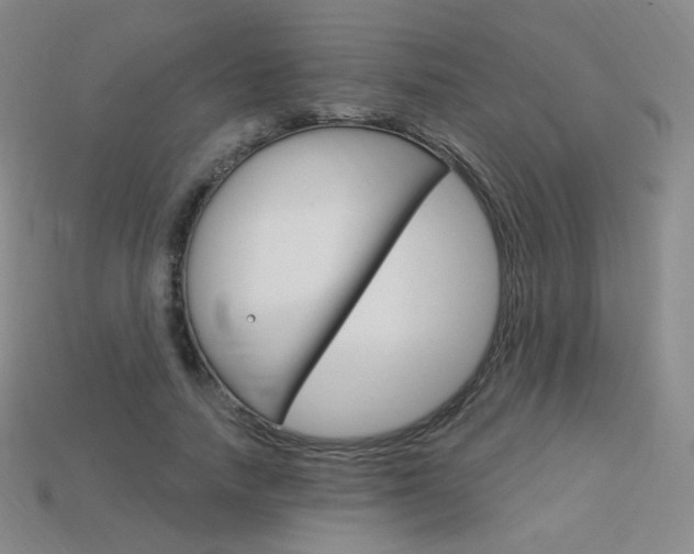 X0000114000738200910021030