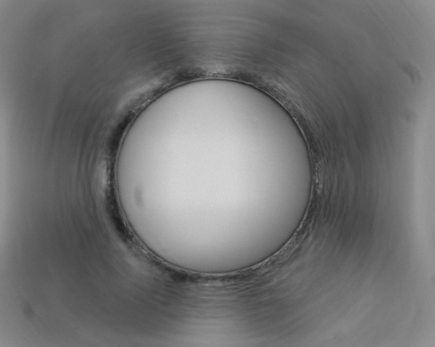 X0000114000740200910021030