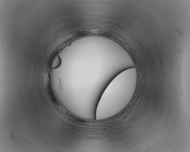 X0000114000746200910021030