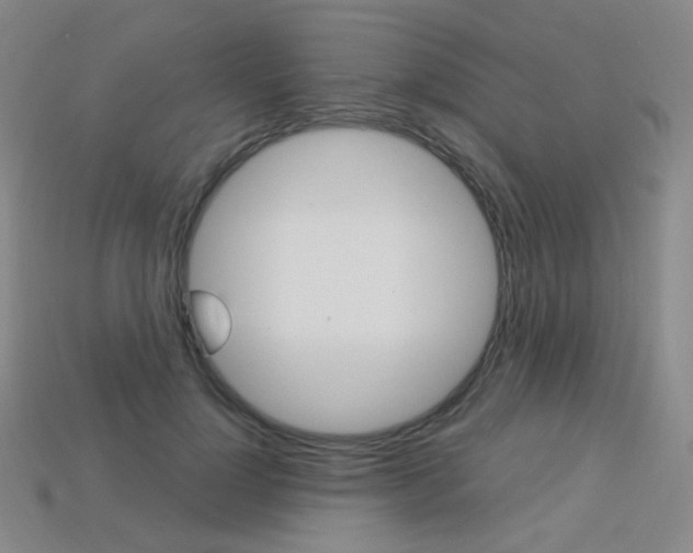 X0000114000748200910021030