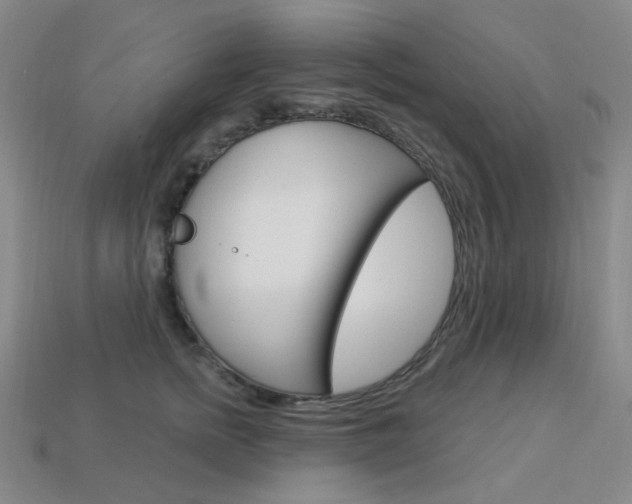 X0000114000758200910021030