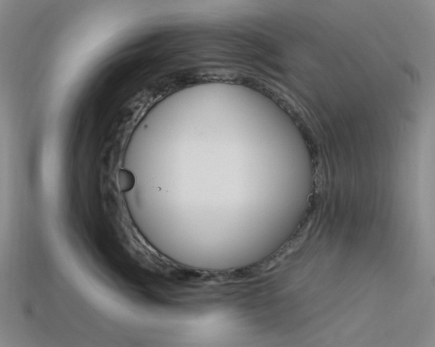 X0000114000764200910021030