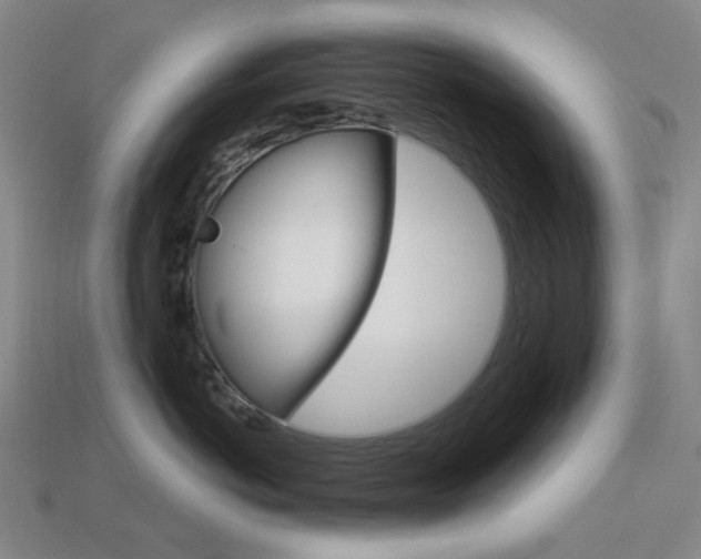X0000114000766200910021030